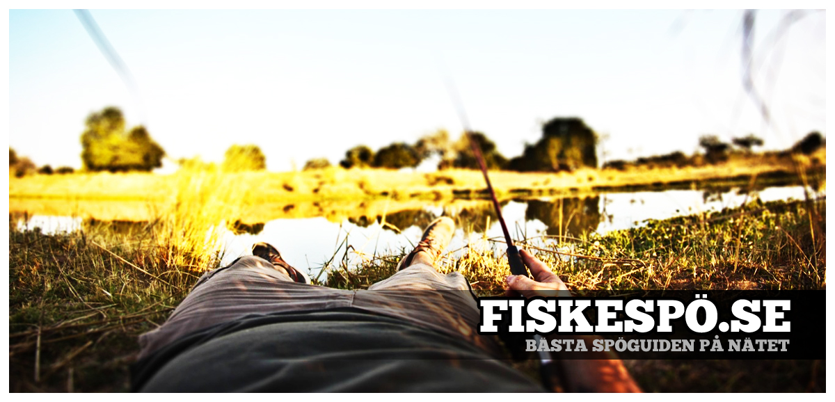 Fiskespö - Sveriges bästa fiskespöguide