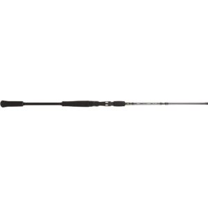 Fiskespön - BFT Raptor G2 Jerkbait 6 ft 150g 2-delat