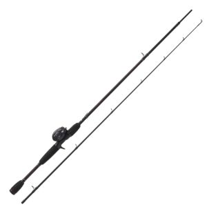 Fiskeset - Abu Garcia Black Max Combo 6,6